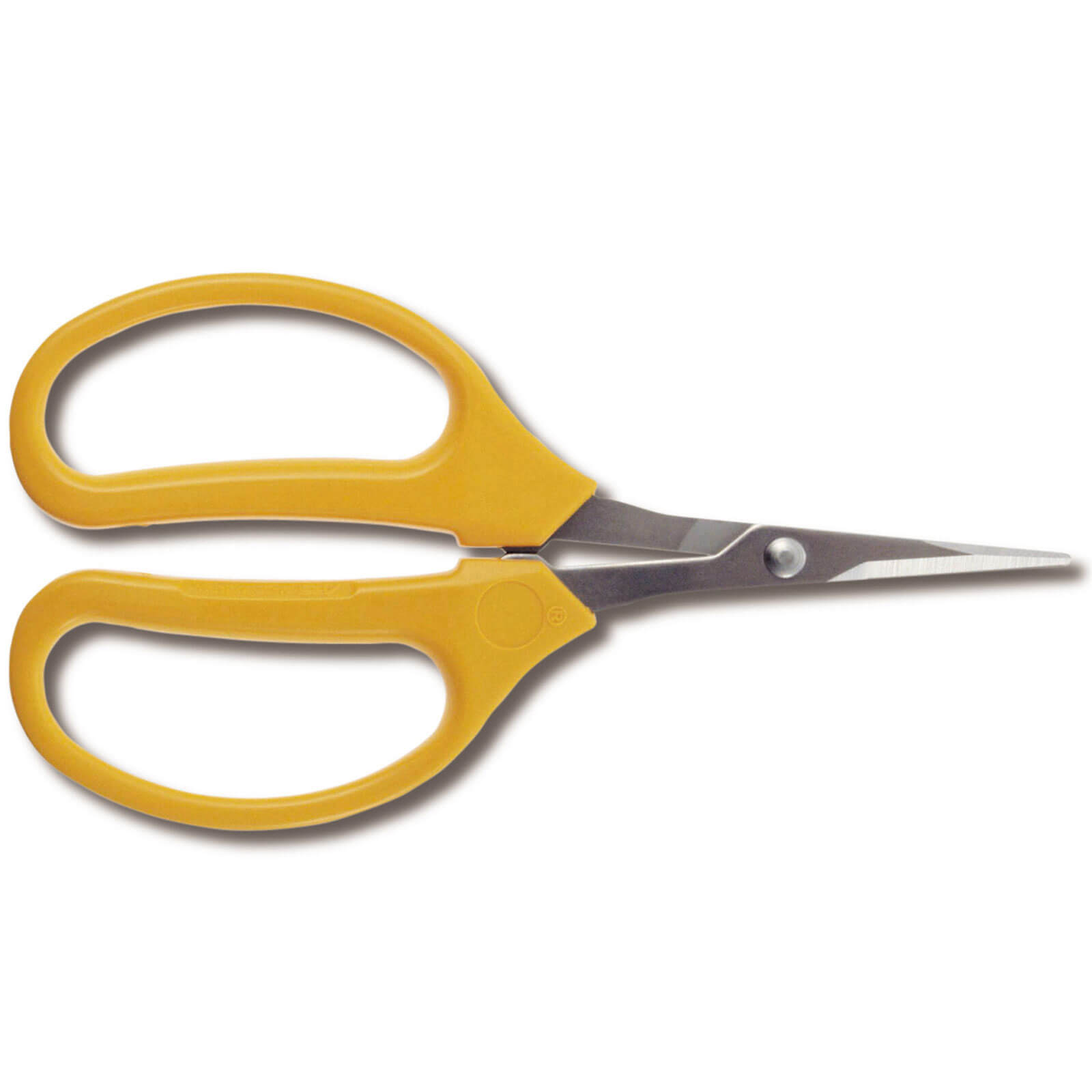 Photo of Ars 320 Straight Stainless Steel Fruit Pruner Scissors